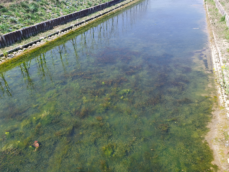 安徽宿州黑臭水河改造