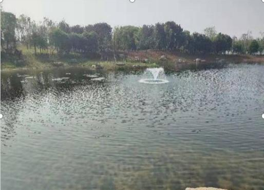 喜訊!江蘇正澤生態環境科技有限公司中標蕭縣官橋鎮農村黑臭水體綜合整治(生態治理)采購項目、蕭縣趙莊鎮農村黑臭水體綜合整治采購項目