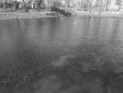 蕭縣趙莊鎮盛屯坑塘