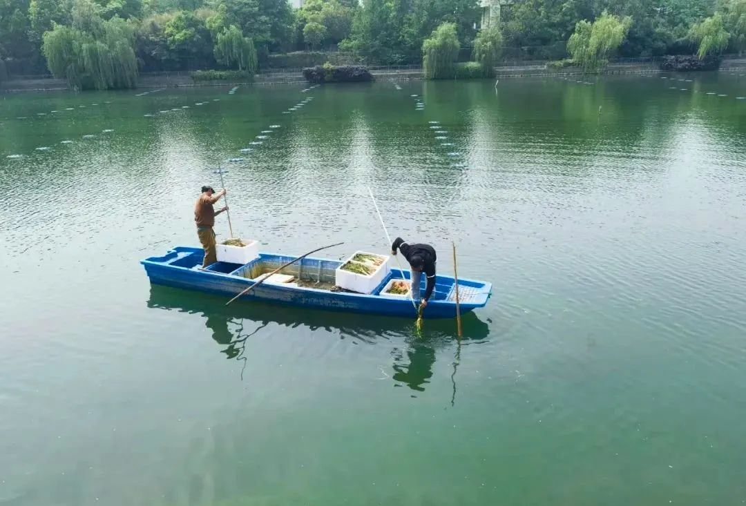 上傳1.png 上傳1.png